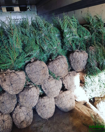 setka-dlya-koma-d450-kupit-v-nizhnem-novgorode-nedorogo