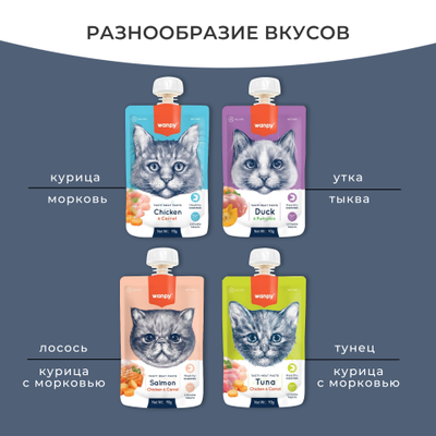 Wanpy Cat (Ванпи кэт) Лакомство для кошек Мясной мусс из курицы и моркови, 90 г