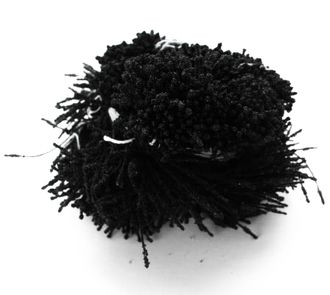 Тычинки Сахарные около 140 нитей , цвет черный