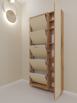 Обувница Айрон-5 Дуэт (фасад стекло капучино)