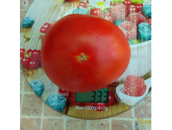 Томат Земляника Маргариты (Strawberry Margarita) США