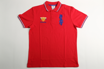 футболка-поло с вышивкой каратэ