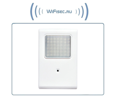 Охранная IP WiFi-LAN видеокамера с ночным видением и аудиоканалом (корпус ИК датчика), встроенный DVR. HD (Pro Ezcam)