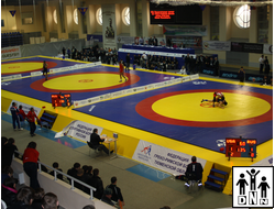 помост для борцовских ковров