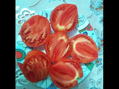 Томат Огромная слива  (Enormous Plum)