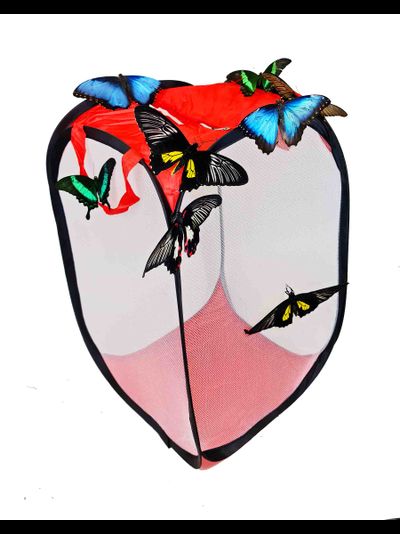 Домик для бабочек