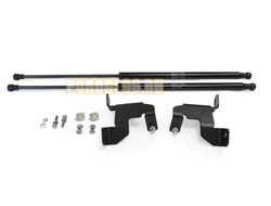 Амортизаторы капота, 2 шт. АвтоУпор для Nissan Juke I / I рестайлинг 2010-2014 / 2014-