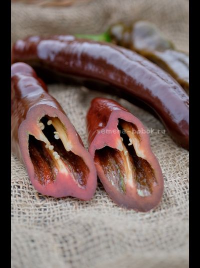 Перец сладкий Spitzpaprika Chocolate (Шпицпаприка Чоколейт), 10 шт