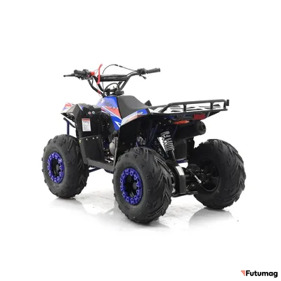 Квадроцикл MOTAX GRIZLIK A110 Черно-синий