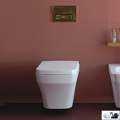 Панель смыва инсталляции для унитаза CREAVIT ORE GP3007.00 в интерьере с унитазом TP326