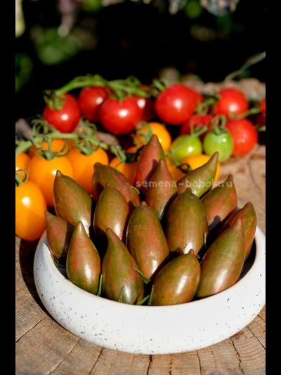 Томат Purple smaragd (Фиолетовый изумруд), 10 шт