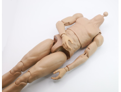 Тело 1/6 (26062R) - Easy&Simple