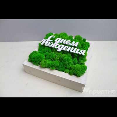 Живая Эко-Картина "C Днем Рождения" 1081