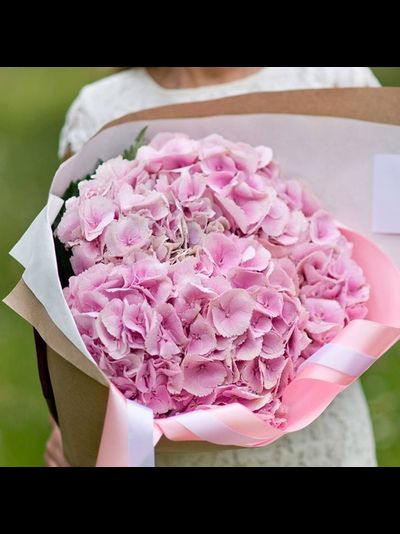 5 розовых гортензий