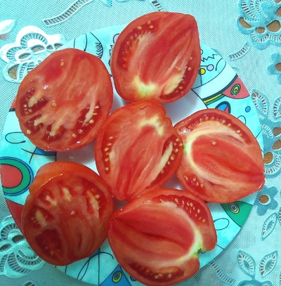 Томат Огромная слива  (Enormous Plum)