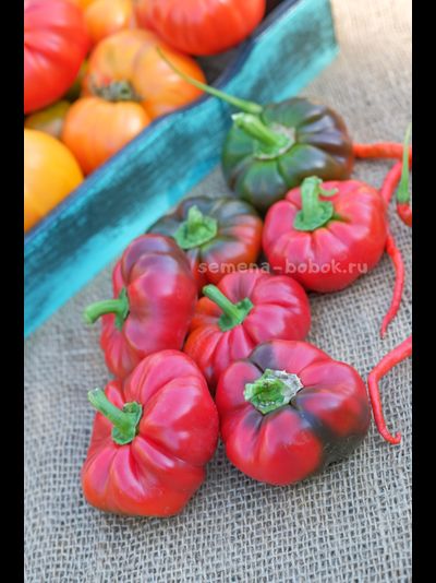 Перец сладкий Александр, 10 шт
