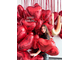 Стена из множества красных гелиевых сердец с золотыми буквами I Love You Троицк Новая Москва