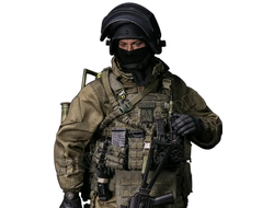 Боец СОБР "Рысь" - КОЛЛЕКЦИОННАЯ ФИГУРКА 1/6 scale RUSSIAN SPETSNAZ MVD - SOBR LYNX (78059) - DAMTOYS