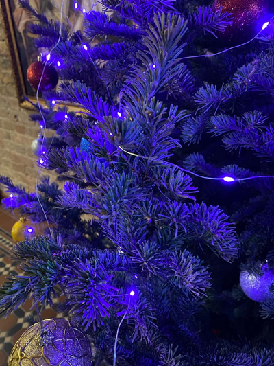 Пихта Сибирская 1,5 м  - 1,75 м