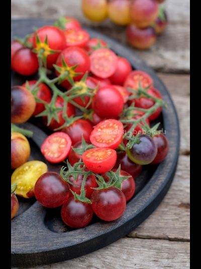 Томат Маленький Красный Корвет (Little Red Corvete), 10 шт