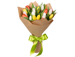 17 тюльпанов микс