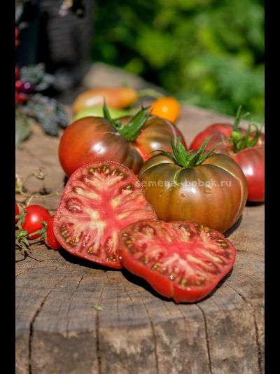 Томат Elbonian Mudball (Комок земли), 10 шт