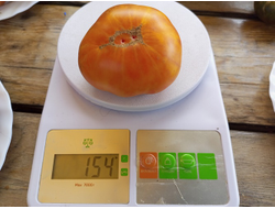 Томат Чупа-чупс оранжевый