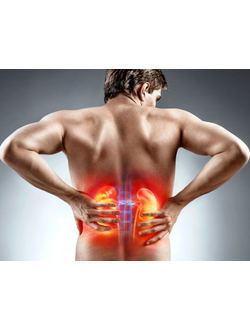 Лечение почек, выведение камней