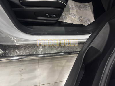 Пороги с накладным листом Папа Тюнинг d53 для JAECOO J6 2026-
