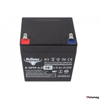 Аккумуляторная батарея RuTrike 6-GFM-4,5 (12V4,5A/H C20)