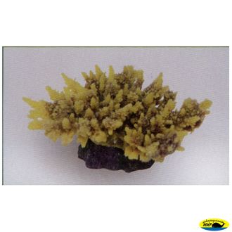 MA116PUY Коралл пластиковый желто-коричневый 14*11*6,5см
