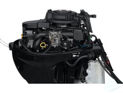 Лодочный мотор Marlin MF9.9AMHS (15)