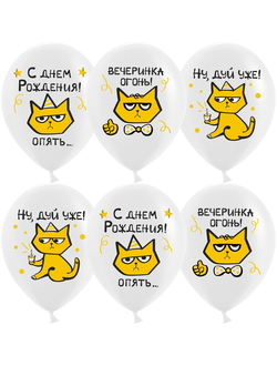 С Днем Рождения, рыжий котик (1шт)