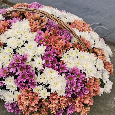 Корзина из 85 хризантем микс
