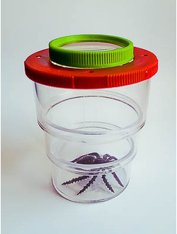 Коробка для изучения насекомых с лупой