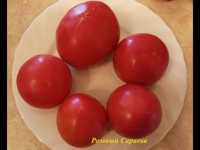 Томат Розовый Сараева