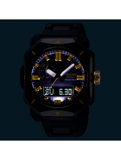 Часы Casio Pro Trek PRW-6900ZE-1