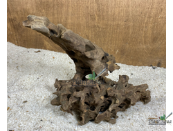 Коряга Мангровая Дракон L (20-40см)