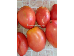Томат Подсинское чудо