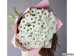 Букет из белой хризантемы «Лучший подарок» фото1