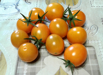 Семена томата Бал цветов желтый