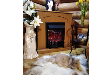 Угловой электрокамин Скандинавия