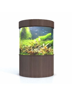 аквариумы Аквариум цилиндрический