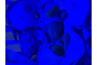 IMG_5694.jpeg