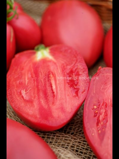 Томат Roșii de Prahova (Помидоры Прахова), 10 шт