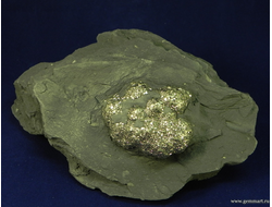 Пирит, конкреция в мергелистой глине. Россия. 130*90*50мм