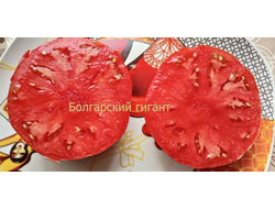 Томат Болгарский гигант (Bulgarian giant)