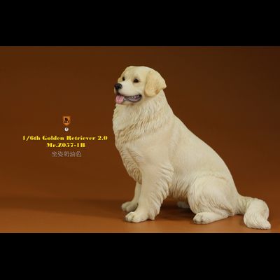 Белый ретривер (сидящий) - Коллекционная ФИГУРКА 1/6 scale Animal Model Golden Retriever 2.0 (MRZ057-1B) - Mr.Z