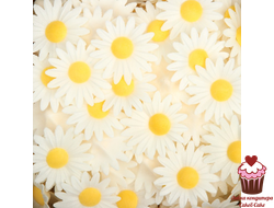Вафельные цветы Ромашки (маргаритки) белые, 5 шт.