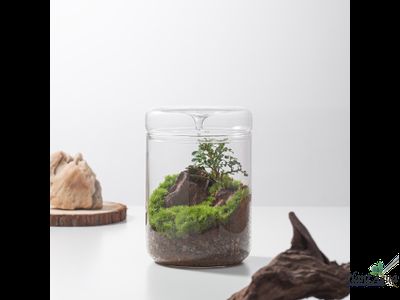 Чаша Лудзи Biolark MY-180 (180мм х 200мм)